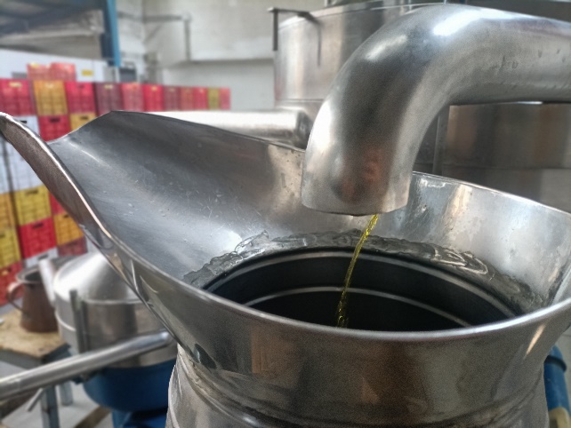 Extraction bergamote